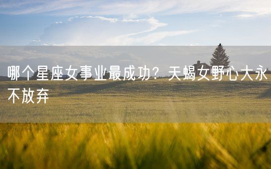 哪个星座女事业最成功？天蝎女野心大永不放弃(图1)