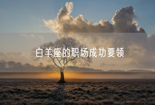白羊座的职场成功要领(图1)