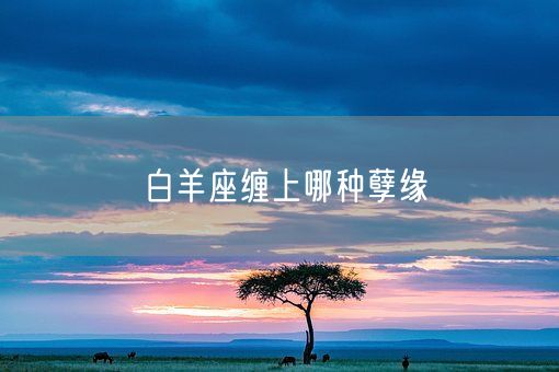 白羊座缠上哪种孽缘(图1)