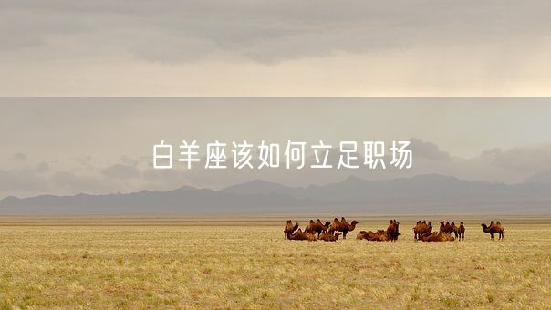 白羊座该如何立足职场(图1)