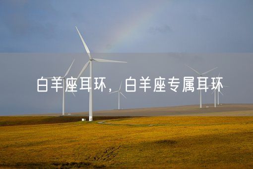 白羊座耳环，白羊座专属耳环(图1)