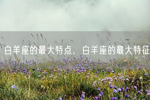 白羊座的最大特点，白羊座的最大特征(图1)