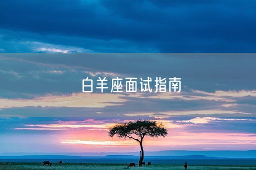 白羊座面试指南(图1)