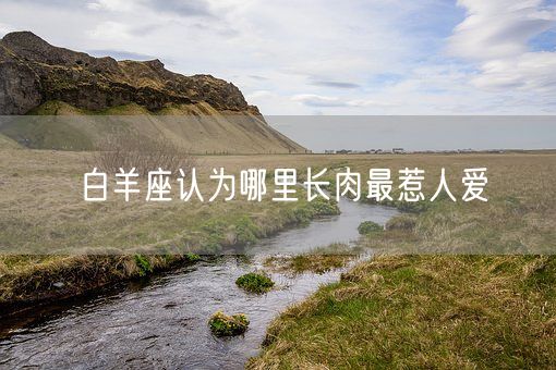 白羊座认为哪里长肉最惹人爱(图1)