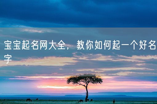 宝宝起名网大全，教你如何起一个好名字(图1)