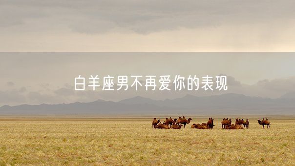 白羊座男不再爱你的表现(图1)