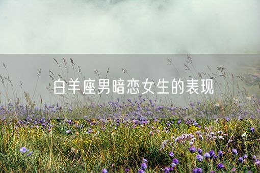 白羊座男暗恋女生的表现(图1)