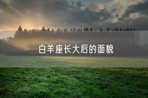 白羊座长大后的面貌(图1)