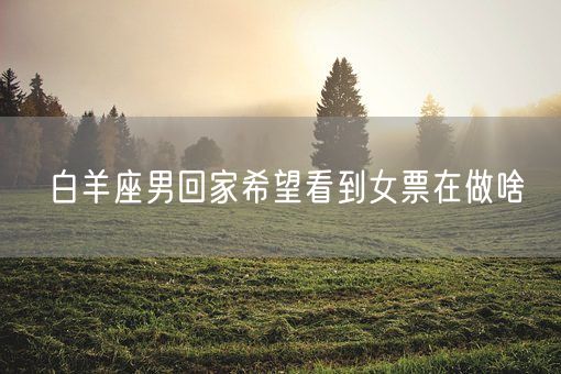 白羊座男回家希望看到女票在做啥(图1)