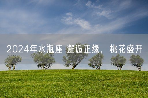 2024年水瓶座 邂逅正缘，桃花盛开(图1)