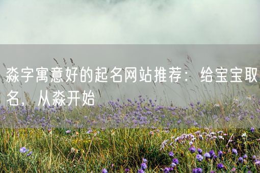 淼字寓意好的起名网站推荐：给宝宝取名，从淼开始(图1)