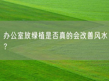 办公室放绿植是否真的会改善风水？(图1)
