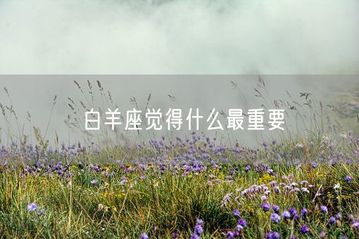 白羊座觉得什么最重要(图1)