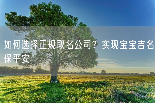 如何选择正规取名公司？实现宝宝吉名保平安(图1)