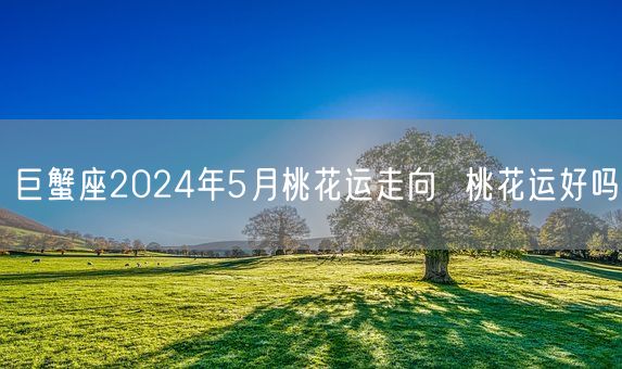 巨蟹座2024年5月桃花运走向  桃花运好吗(图1)