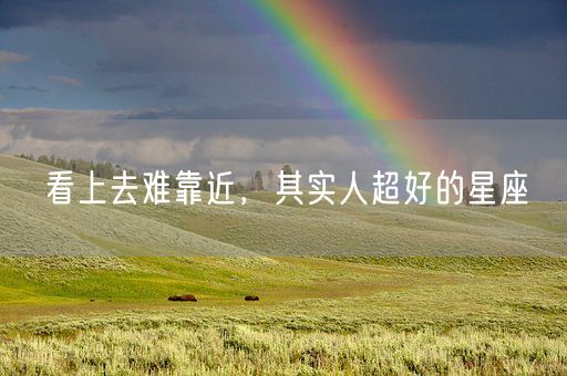 看上去难靠近，其实人超好的星座(图1)