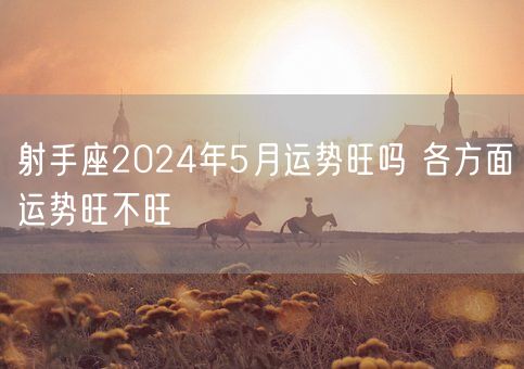 射手座2024年5月运势旺吗 各方面运势旺不旺(图1)