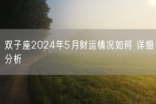 双子座2024年5月财运情况如何 详细分析(图1)