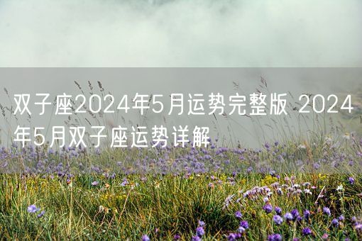 双子座2024年5月运势完整版 2024年5月双子座运势详解(图1)