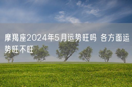 摩羯座2024年5月运势旺吗 各方面运势旺不旺(图1)