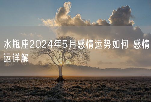 水瓶座2024年5月感情运势如何 感情运详解(图1)