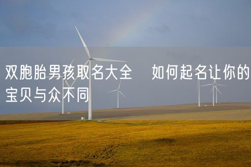 双胞胎男孩取名大全   如何起名让你的宝贝与众不同(图1)