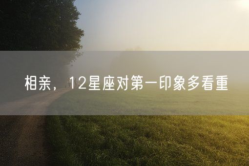 相亲，12星座对第一印象多看重(图1)