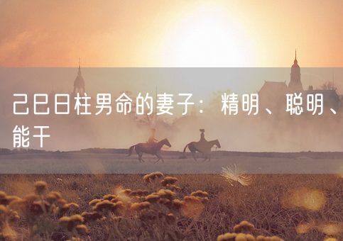 己巳日柱男命的妻子：精明、聪明、能干(图1)