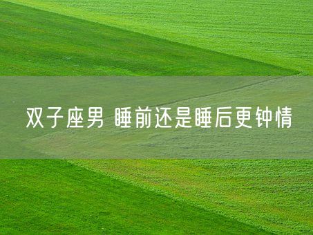 双子座男 睡前还是睡后更钟情(图1)