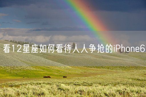看12星座如何看待人人争抢的iPhone6(图1)