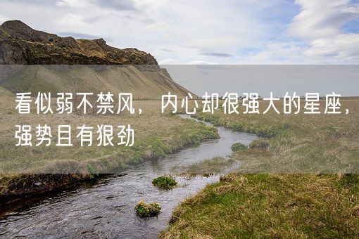 看似弱不禁风，内心却很强大的星座，强势且有狠劲(图1)