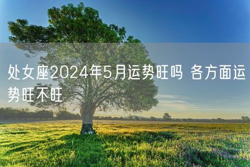 处女座2024年5月运势旺吗 各方面运势旺不旺(图1)