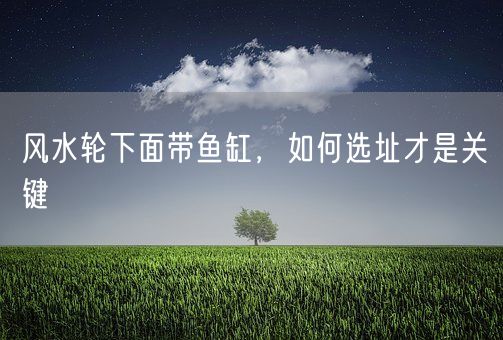 风水轮下面带鱼缸，如何选址才是关键(图1)