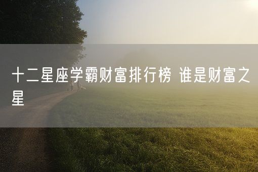 十二星座学霸财富排行榜 谁是财富之星(图1)
