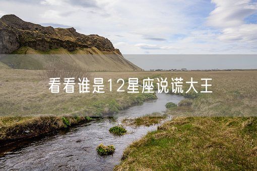 看看谁是12星座说谎大王(图1)