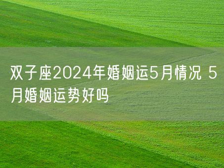双子座2024年婚姻运5月情况 5月婚姻运势好吗(图1)