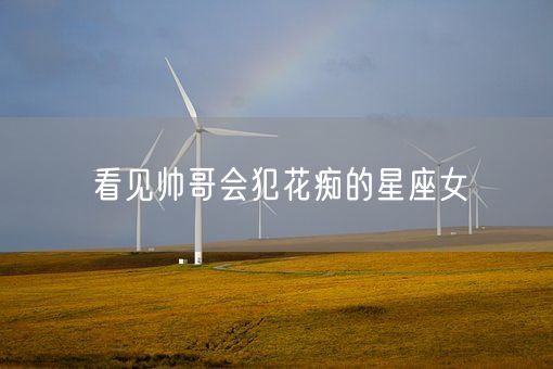 看见帅哥会犯花痴的星座女(图1)