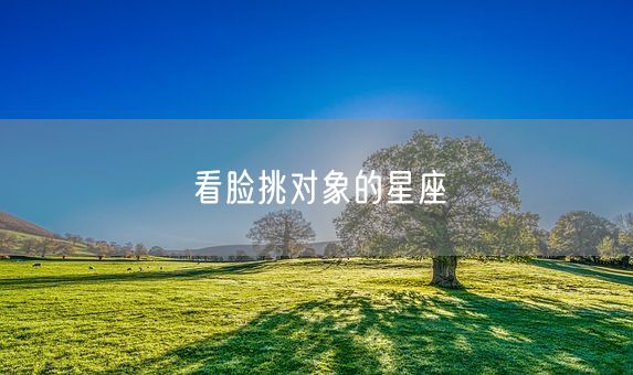看脸挑对象的星座(图1)