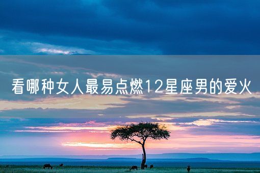看哪种女人最易点燃12星座男的爱火(图1)