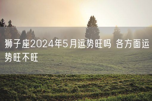 狮子座2024年5月运势旺吗 各方面运势旺不旺(图1)