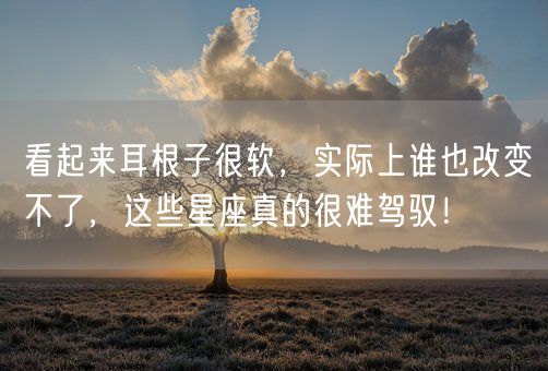 看起来耳根子很软，实际上谁也改变不了，这些星座真的很难驾驭！(图1)