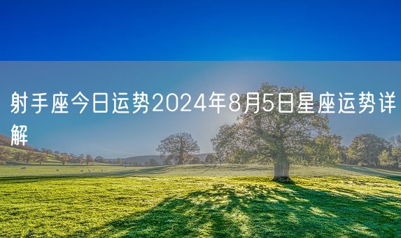 射手座今日运势2024年8月5日星座运势详解(图1)