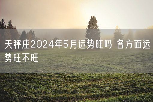 天秤座2024年5月运势旺吗 各方面运势旺不旺(图1)