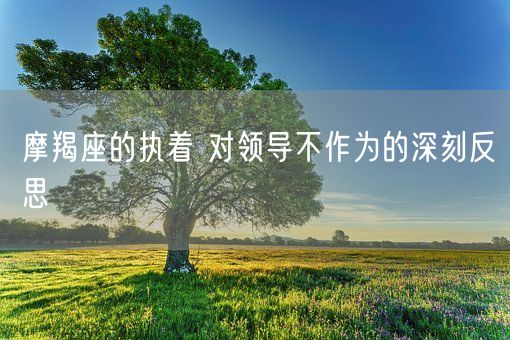 摩羯座的执着 对领导不作为的深刻反思(图1)