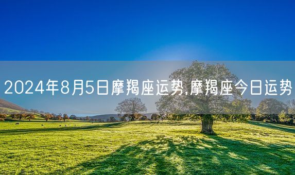 2024年8月5日摩羯座运势,摩羯座今日运势(图1)