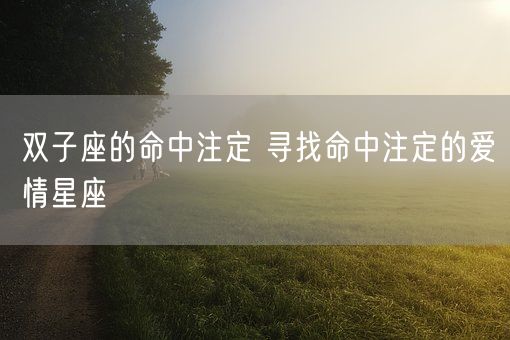 双子座的命中注定 寻找命中注定的爱情星座(图1)