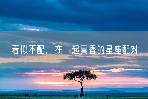 看似不配，在一起真香的星座配对(图1)
