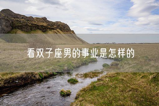 看双子座男的事业是怎样的(图1)