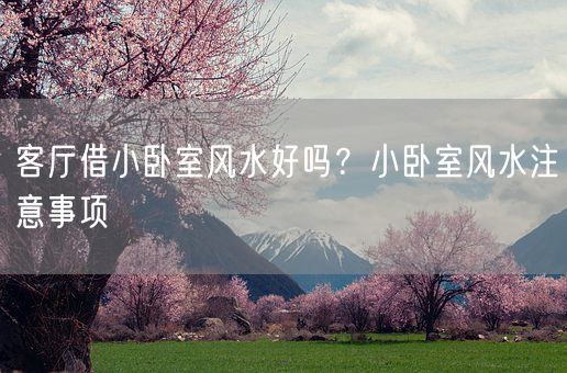 客厅借小卧室风水好吗？小卧室风水注意事项(图1)