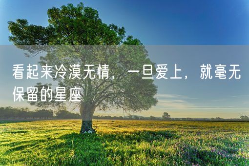 看起来冷漠无情，一旦爱上，就毫无保留的星座(图1)